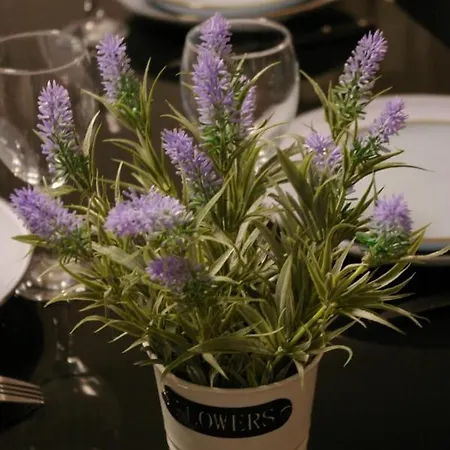 Appartement Un Bouchon Pour 4 Proche Gare Centre