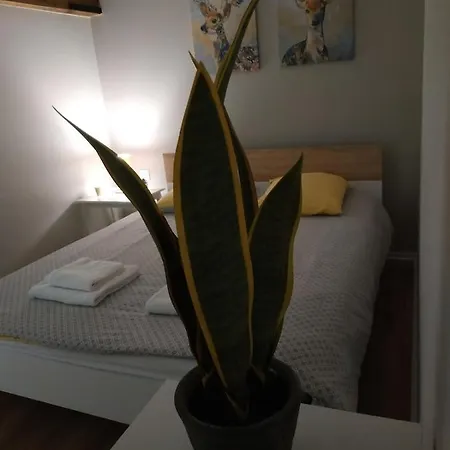 Appartement Un Bouchon Pour 4 Proche Gare Centre Épernay