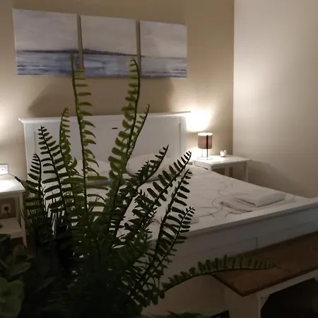 Apartment Bouchon Pour 4 Avenue De Champagne A 3 Minutes Epernay