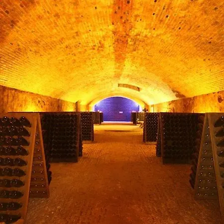 Un Bouchon Pour 4 Proche Gare Centre Épernay