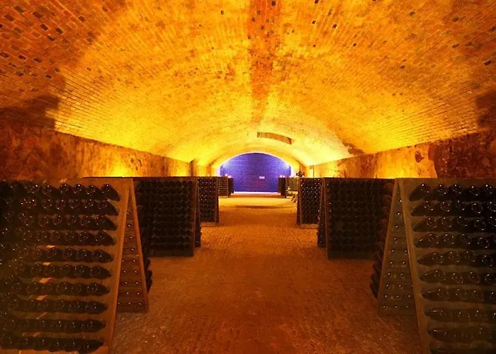 1 Bouchon Pour 4 Épernay