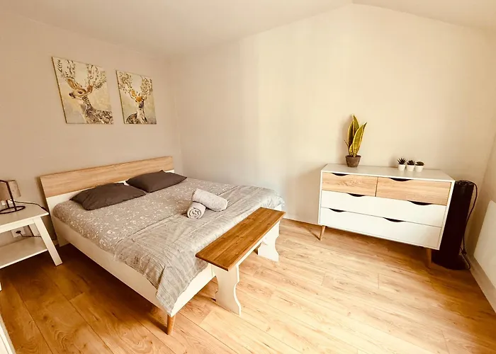 1 Bouchon Pour 4 Épernay