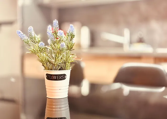 Appartement 1 Bouchon Pour 4